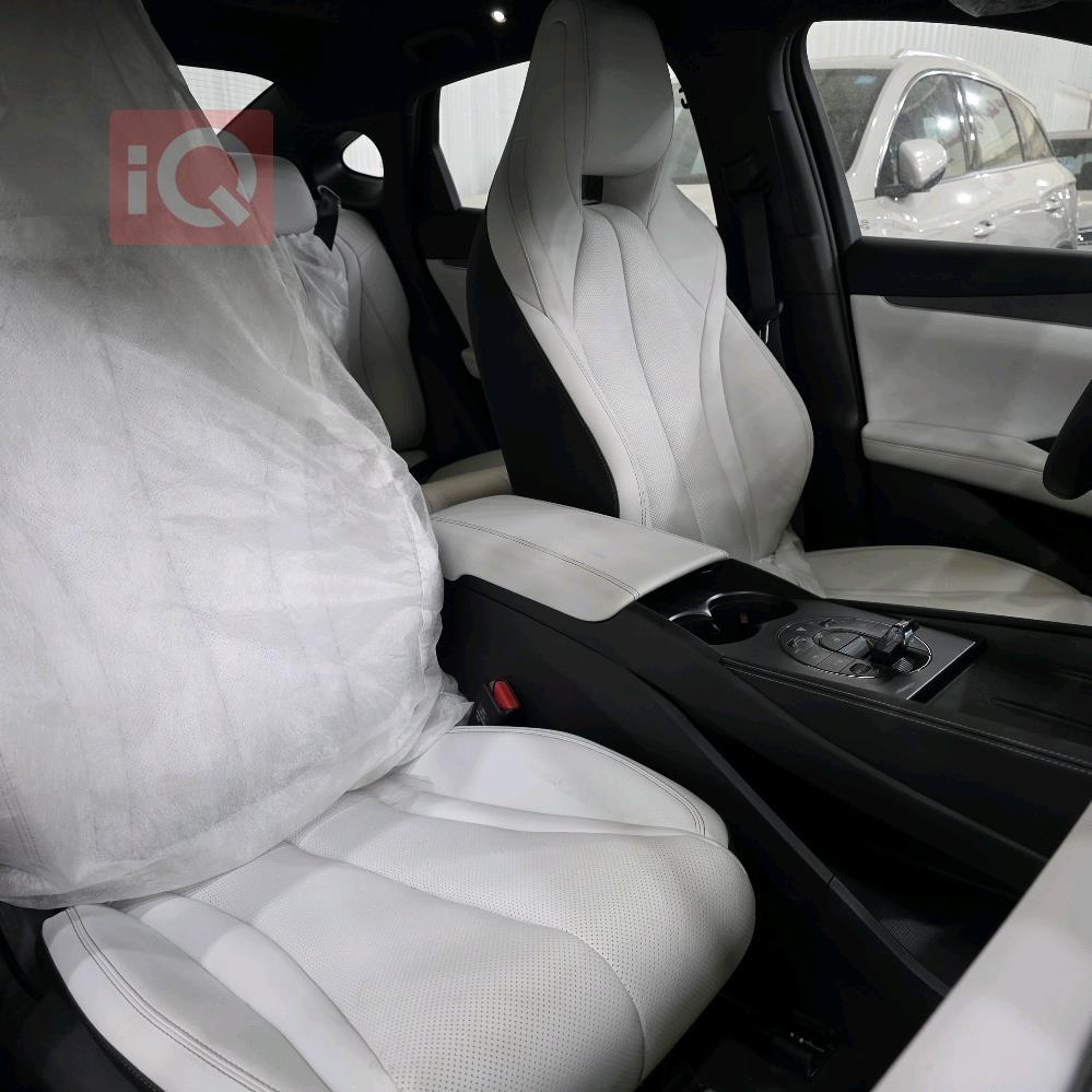 بي واي دي سيل 06 DM-i